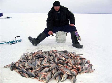 Отчеты о рыбалке в минской области