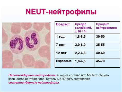 Повышены нейтрофилы в крови у ребенка