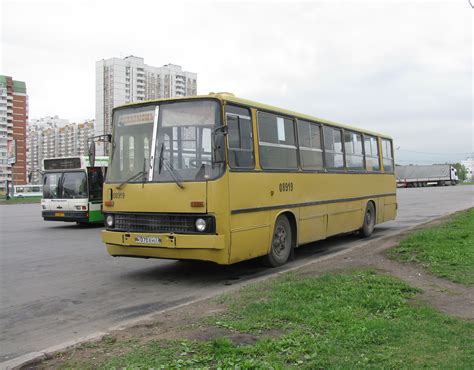 260 автобус